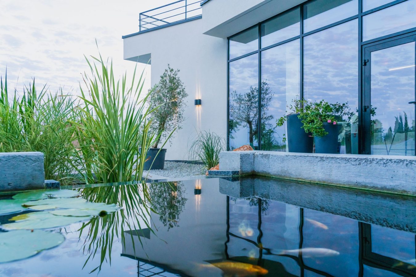 piscinas naturales en casa